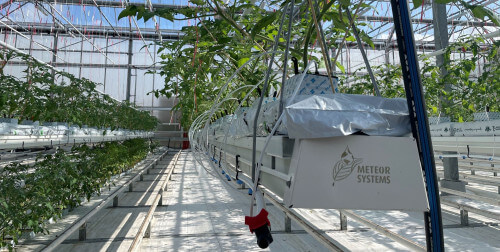 growinggutters2.jpg growinggutters2.jpg