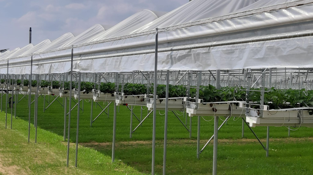 image00042.jpeg image00042.jpeg