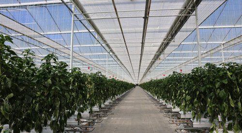 LS5A3375.JPG LS5A3375.JPG