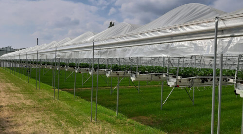 image00051.jpeg image00051.jpeg