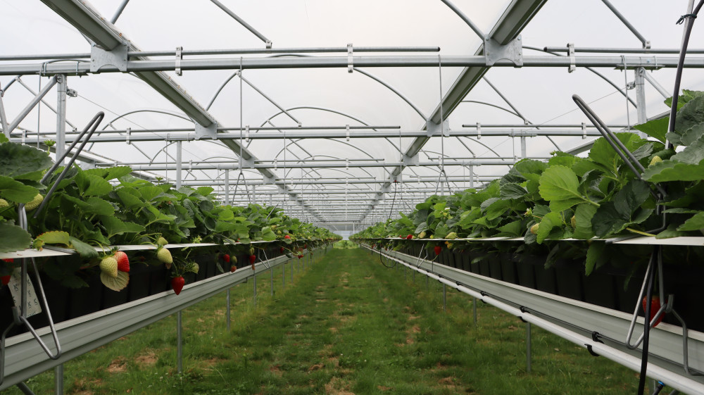 IMG_0018.JPG IMG_0018.JPG