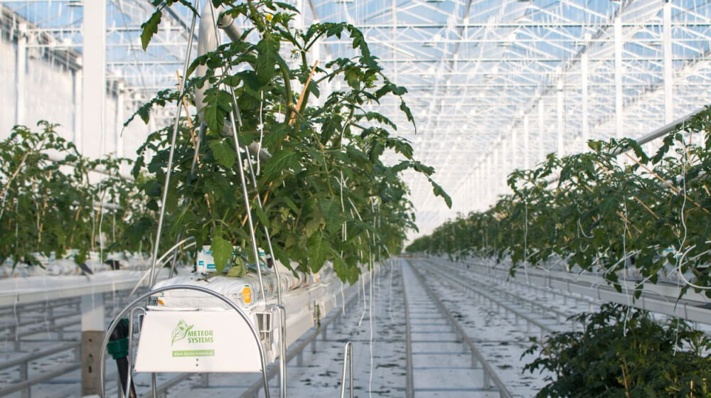 meteorsystems.jpg meteorsystems.jpg