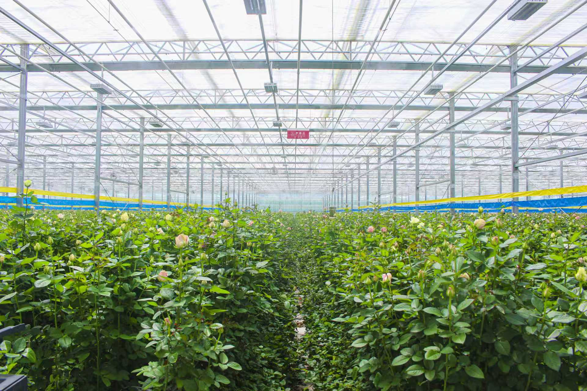 f832f9b6b58fe7478d9243e02050e4c4.jpg f832f9b6b58fe7478d9243e02050e4c4.jpg