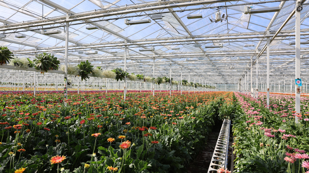 LS5A3214.JPG LS5A3214.JPG