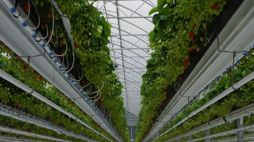 blz.8groterondje.jpg blz.8groterondje.jpg