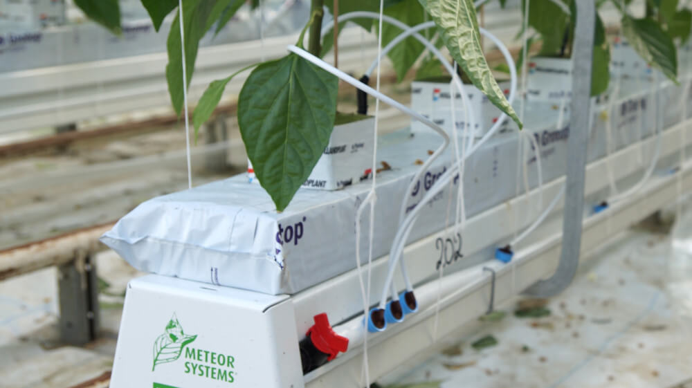 preassembleddripirrigation.jpg preassembleddripirrigation.jpg