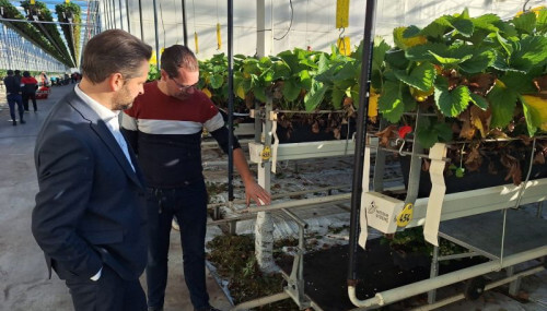 1620859620.png 1620859620.png