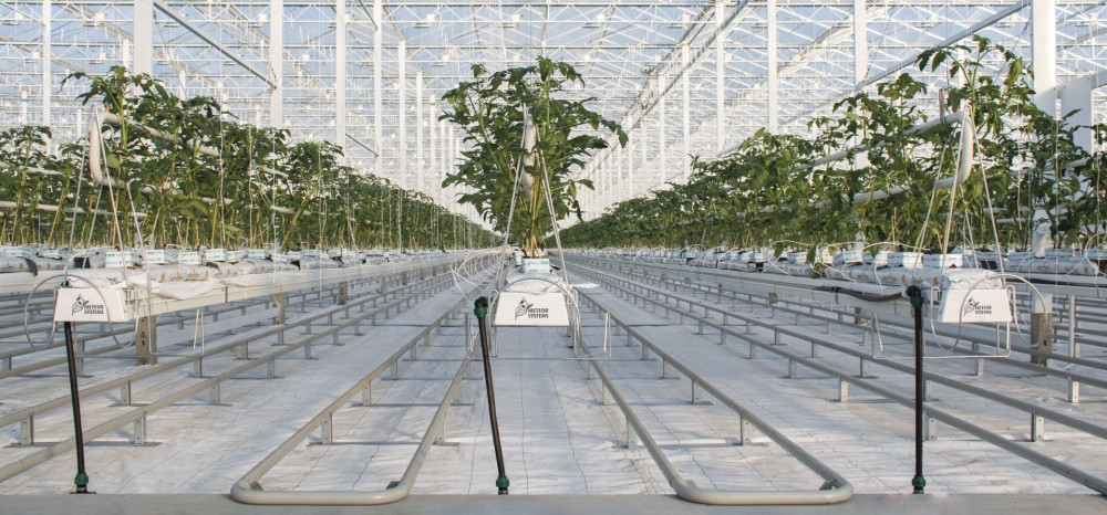 meteorsystemsgrowingsolutions.jpg meteorsystemsgrowingsolutions.jpg