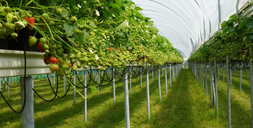 tabletops.jpg tabletops.jpg